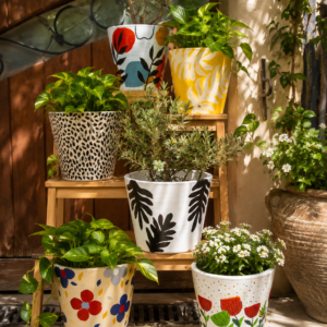 Collection of hand-painted terracotta planters featuring floral and botanical patterns displayed with indoor plants